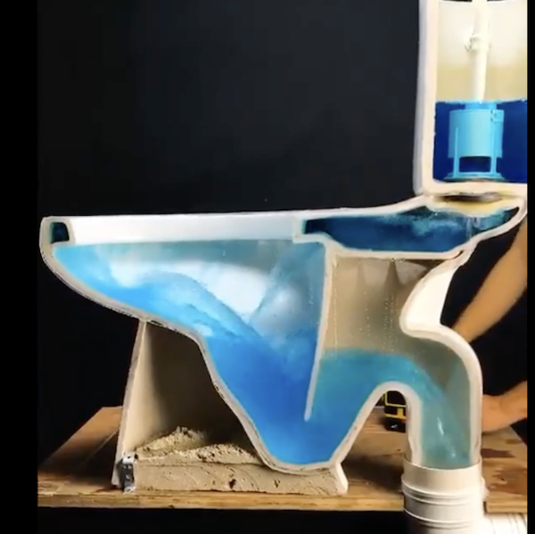 Contents of toilet 